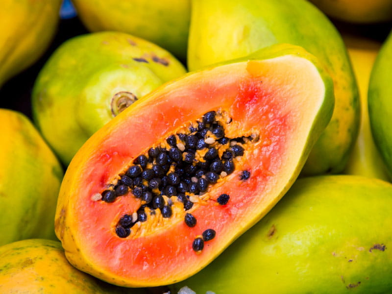Papaya Powder
