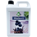 Blueberry Syrup-Nature