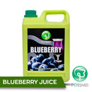 P-BLUEBERRY SYRUP - SINGLE